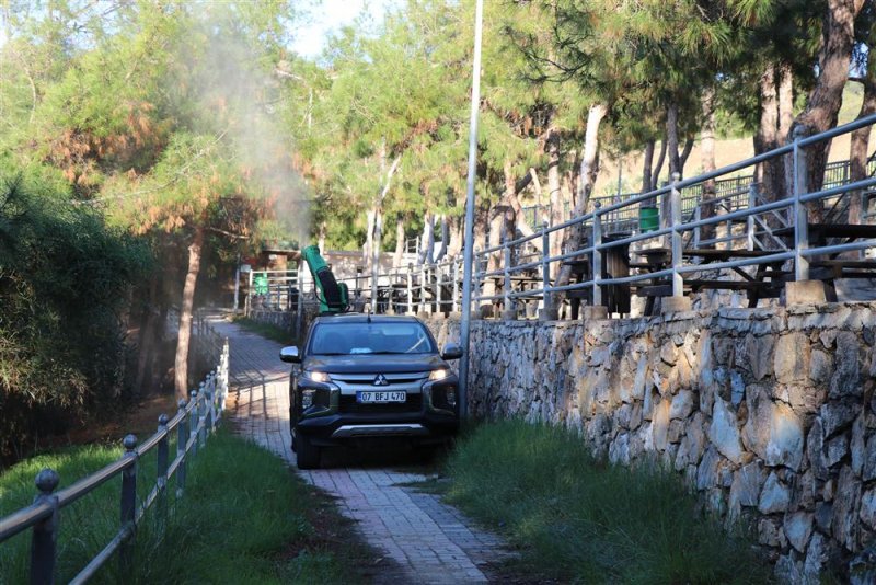 Alanya belediyesi’nden biyolojik mücadele
