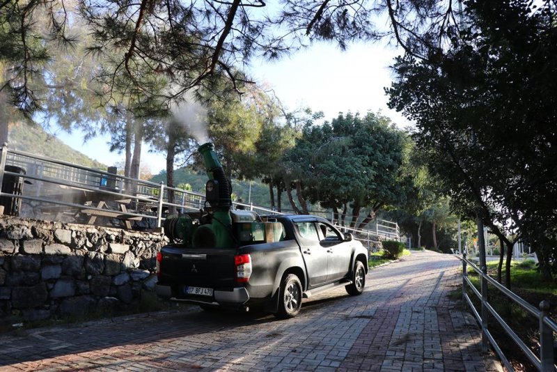 Alanya belediyesi’nden biyolojik mücadele