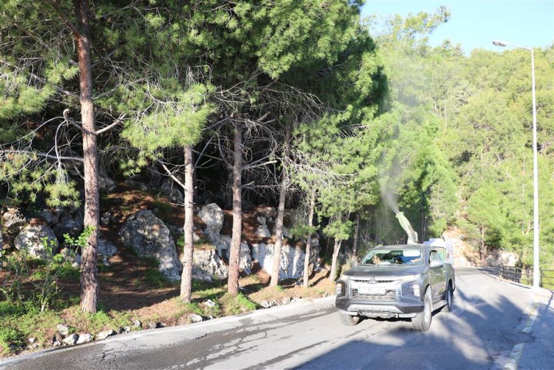 Alanya belediyesi’nden biyolojik mücadele