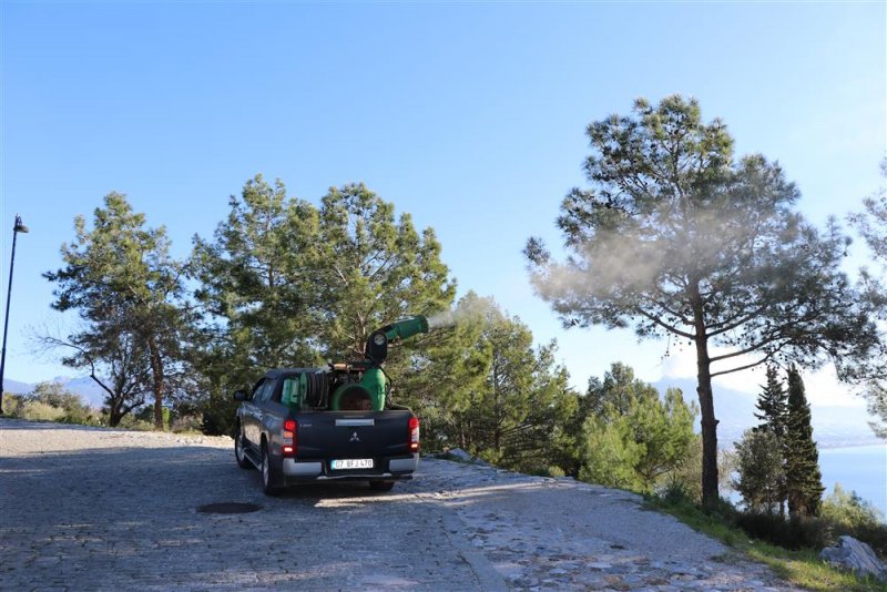 Alanya belediyesi’nden biyolojik mücadele