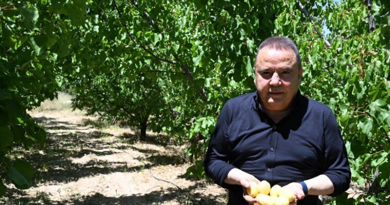 Büyükşehir Belediyesi’nden Tarıma Büyük Destek