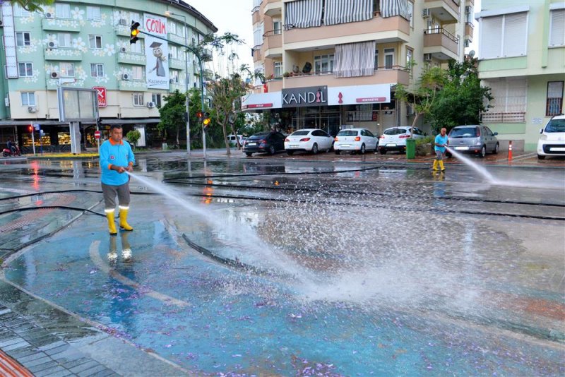 Alanya belediyesi'nden temizlik atağı