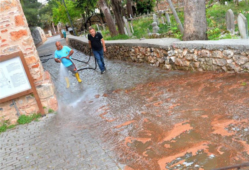 Alanya belediyesi'nden temizlik atağı
