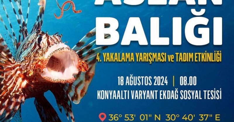 Aslan Balığı Yakalama Yarışması