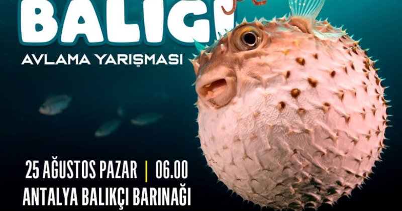 Büyükşehir Belediyesi'nden Balon Balığı Avlama Yarışması