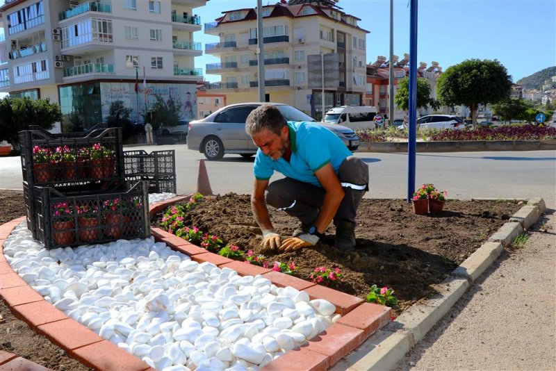 Alanya belediyesi mevsimlik çiçek dikimlerine başladı