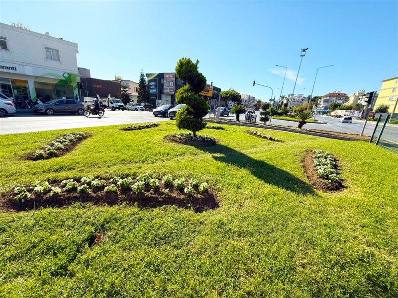 Alanya belediyesi mevsimlik çiçek dikimlerine başladı