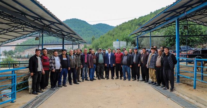 Alanya kurban pazarı açıldı