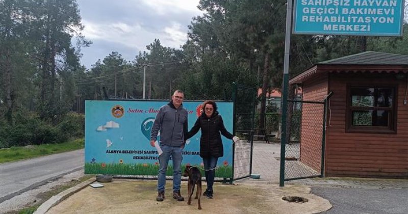 Alanya’da can dostlar emin ellerde