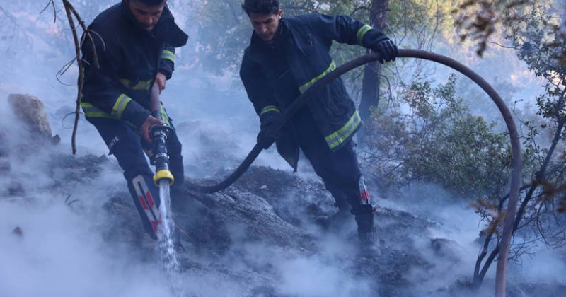 Büyükşehir Itfaiyesinden Orman Yangınına Müdahale