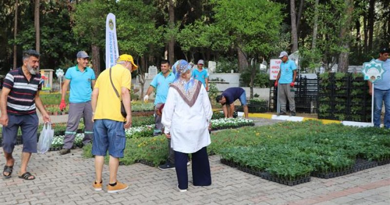 Alanya belediyesi mezarlıklarda çiçek dağıtacak