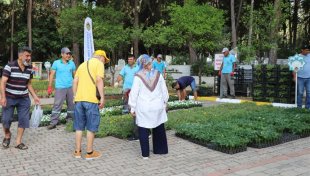 Alanya belediyesi mezarlıklarda çiçek dağıtacak
