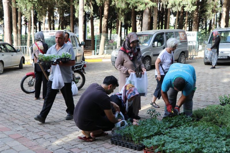 Alanya belediyesi mezarlıklarda çiçek dağıtacak