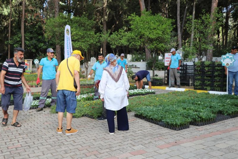 Alanya belediyesi mezarlıklarda çiçek dağıtacak