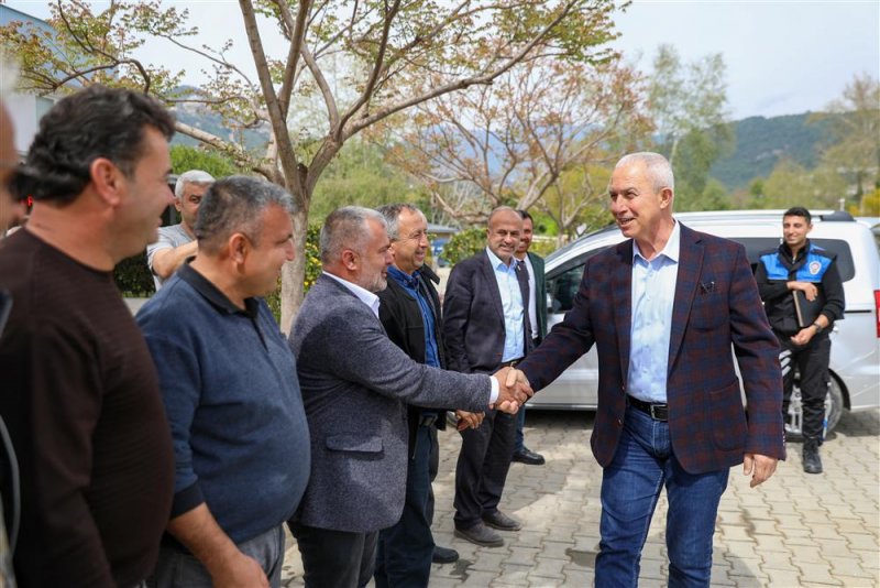 Alanya belediyesi’nden çiftçilere keçi boynuzu fidanı desteği