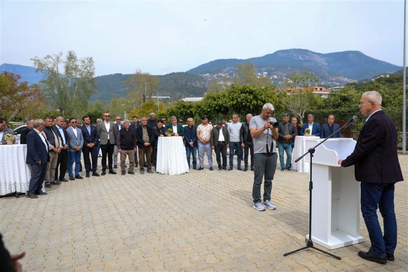 Alanya belediyesi’nden çiftçilere keçi boynuzu fidanı desteği