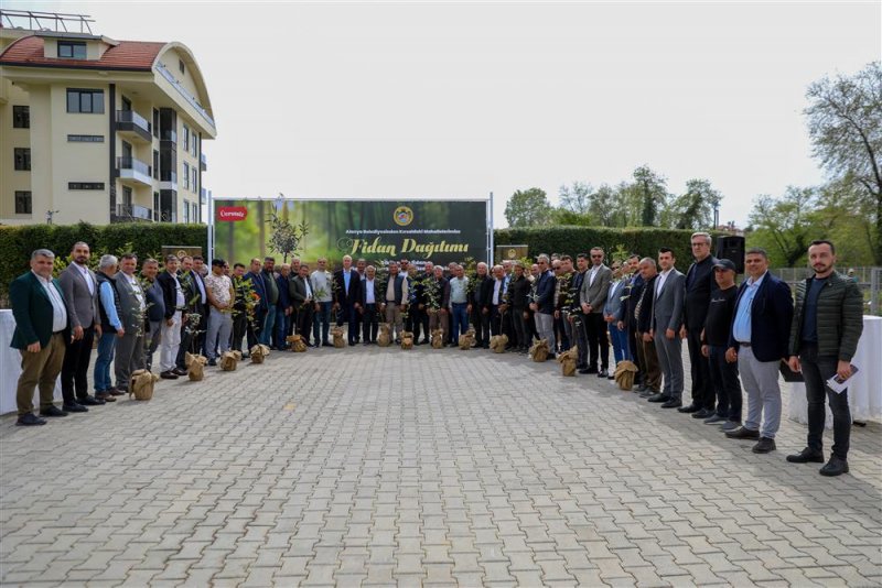 Alanya belediyesi’nden çiftçilere keçi boynuzu fidanı desteği