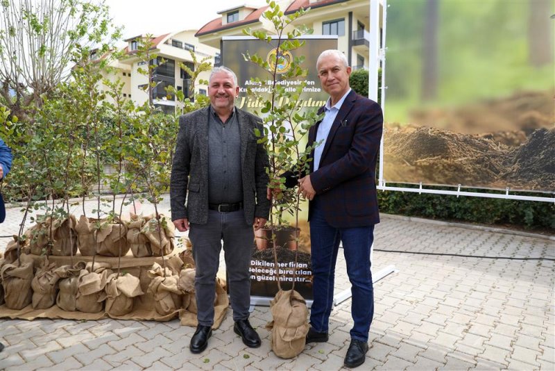 Alanya belediyesi’nden çiftçilere keçi boynuzu fidanı desteği