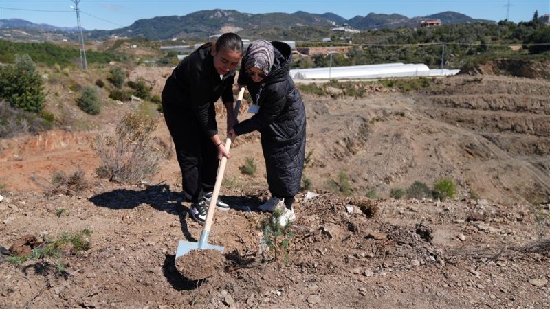 Alanya belediyesi’nden yeşil mirasa katkı
