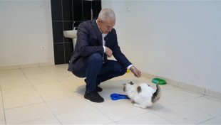 Başkan özçelik'ten can dostlar için doğal yaşam alanı ve modern ameliyathane müjdesi