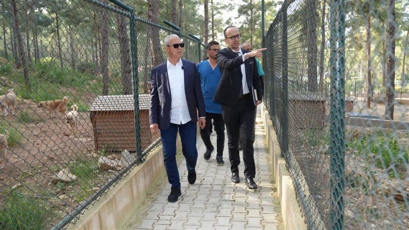 Başkan özçelik'ten can dostlar için doğal yaşam alanı ve modern ameliyathane müjdesi