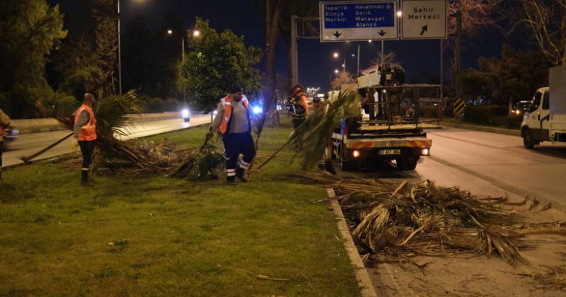 Büyükşehir’den Gece Budama Çalışması