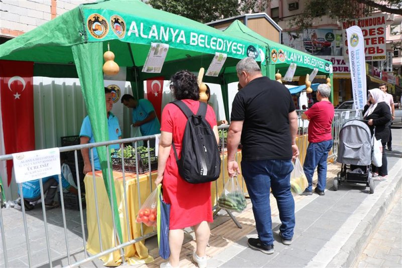 Alanya belediyesi ücretsiz su kabağı fidesi dağıtacak