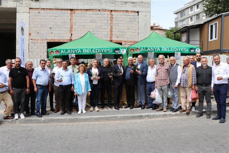 Alanya belediyesi ücretsiz su kabağı fidesi dağıtacak