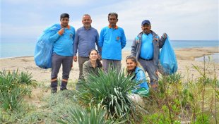 Alanya’da sahil temizliği: kum zambakları ve caretta carettalar koruma altında