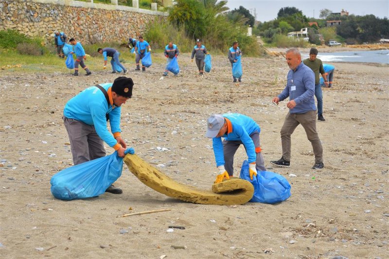 Alanya’da sahil temizliği: kum zambakları ve caretta carettalar koruma altında