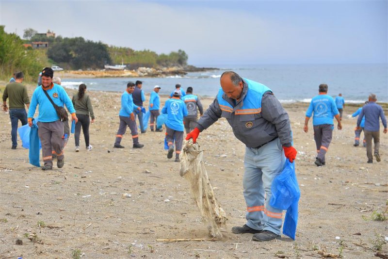 Alanya’da sahil temizliği: kum zambakları ve caretta carettalar koruma altında