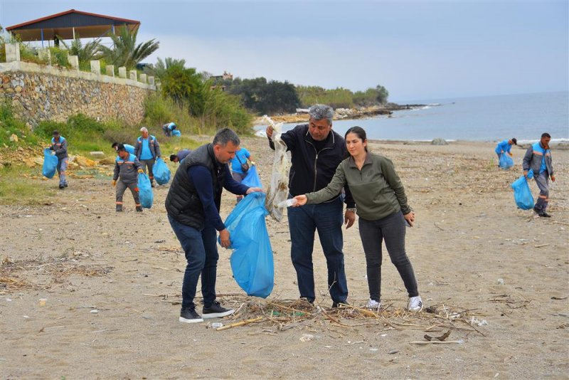 Alanya’da sahil temizliği: kum zambakları ve caretta carettalar koruma altında