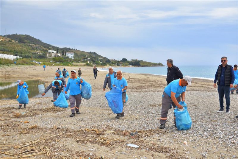 Alanya’da sahil temizliği: kum zambakları ve caretta carettalar koruma altında