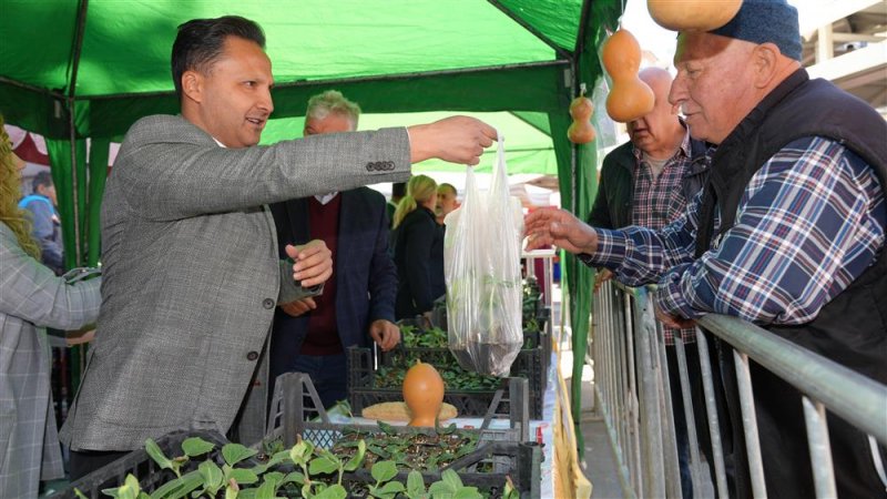 Ücretsiz su kabağı ve lif fidesi dağıtımı başladı