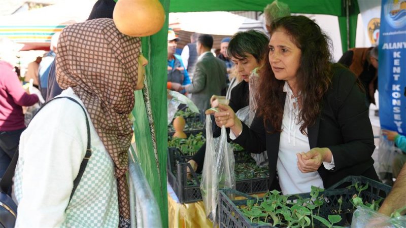 Ücretsiz su kabağı ve lif fidesi dağıtımı başladı