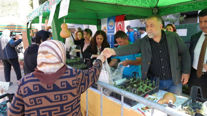 Ücretsiz su kabağı ve lif fidesi dağıtımı başladı