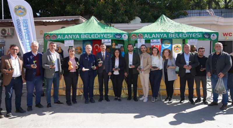 Ücretsiz su kabağı ve lif fidesi dağıtımı başladı