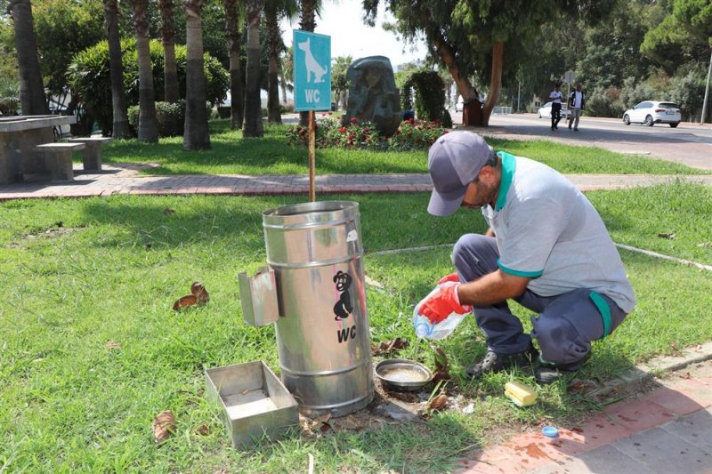 Alanya belediyesi can dostların yanında
