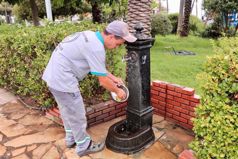 Alanya belediyesi can dostların yanında