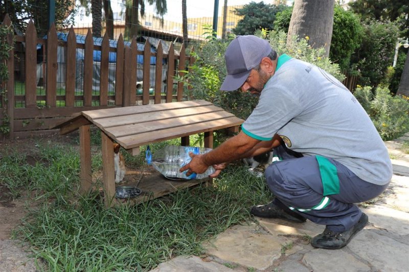 Alanya belediyesi can dostların yanında