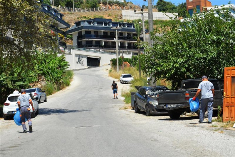 Alanya belediyesi&rsquo;nden 4-4&rsquo;l&uuml;k temizlik hizmeti