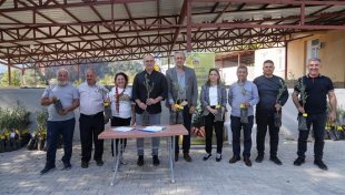 Alanya belediyesi'nden yaylakonak'a can suyu: zeytin fidanları toprakla buluşuyor