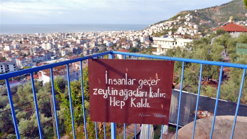 Alanya belediyesi, eko-okullar ve mavi bayraklı tesislerle zeytin kırma etkinliği ger&ccedil;ekleştirdi