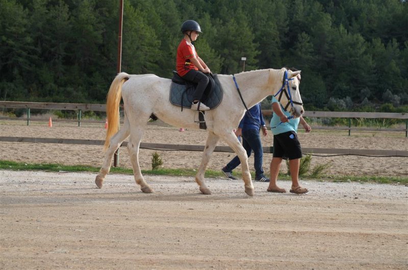Engelli bireylere binicilik eğitimiyle rehabilitasyon desteği