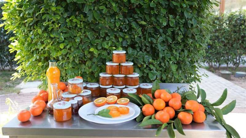 Alanya&rsquo;da dayanışmanın en tatlı hali: turun&ccedil; re&ccedil;elleri taha mira&ccedil; ve elisa deniz i&ccedil;in kaynadı