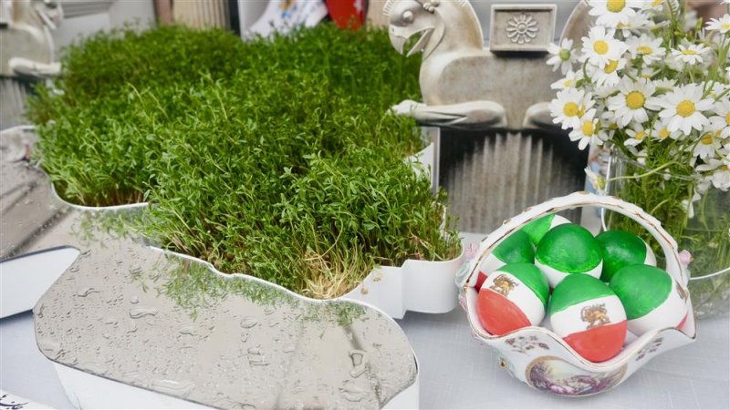 Alanya&rsquo;da nevruz bayramı coşkuyla kutlandı