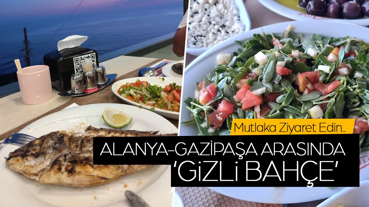 Alanya ve Gazipaşa’nın Kesişme Noktasında Gizli Bir Cennet: IOTAPE Aydap