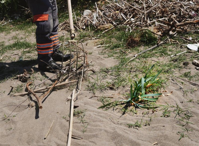 Demirtaş sahilinde doğa ve gelecek i&ccedil;in el ele