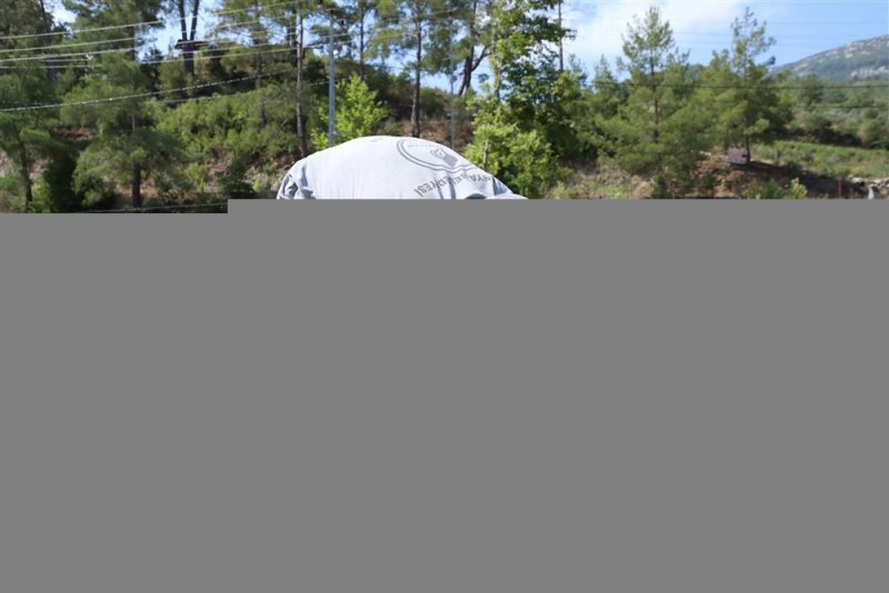 Alanya belediyesi&rsquo;nin lavanta bah&ccedil;esinde ilk hasat yapıldı