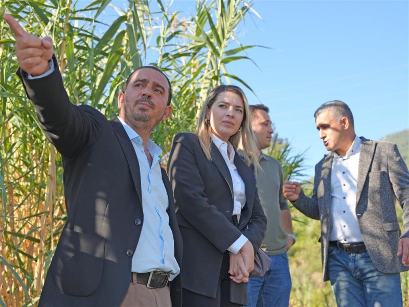 Alanya belediyesi&rsquo;nden benliler deresi&rsquo;nde heyelan riskine karşı &ouml;nlem
